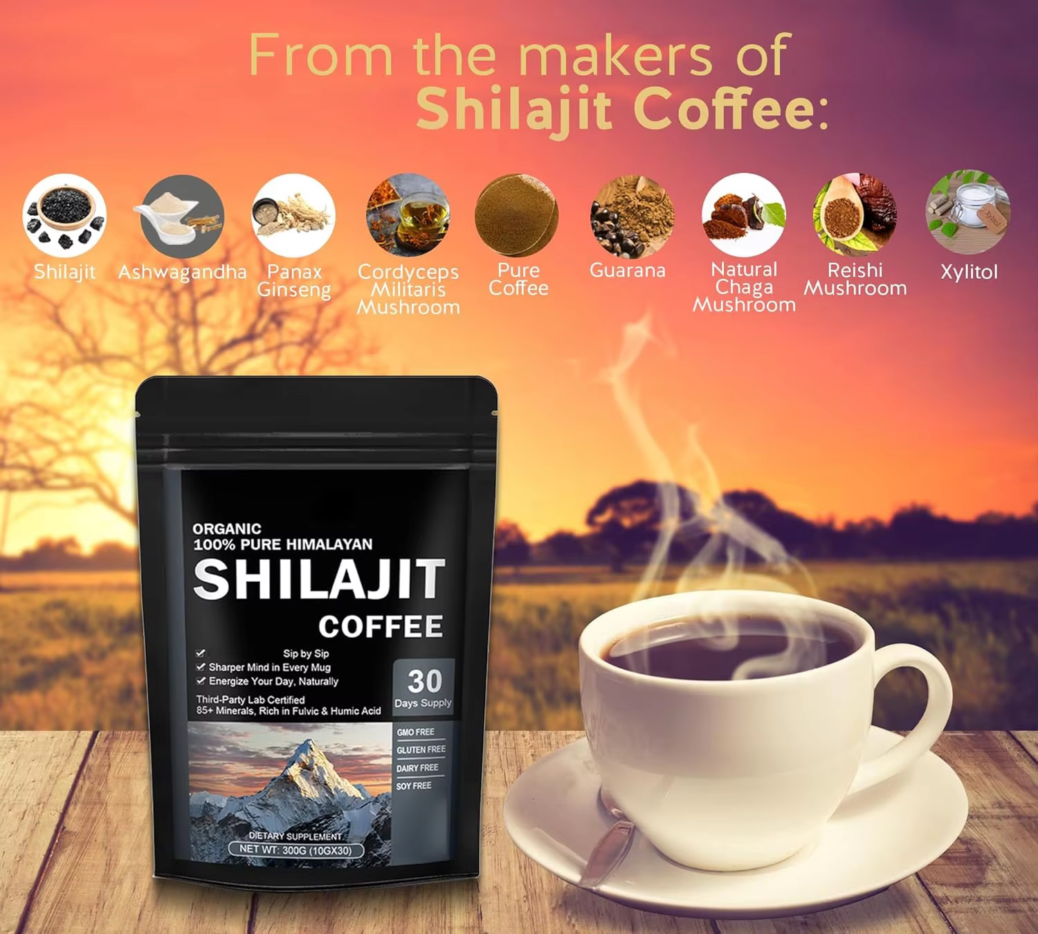 Shilajit Coffee Powder