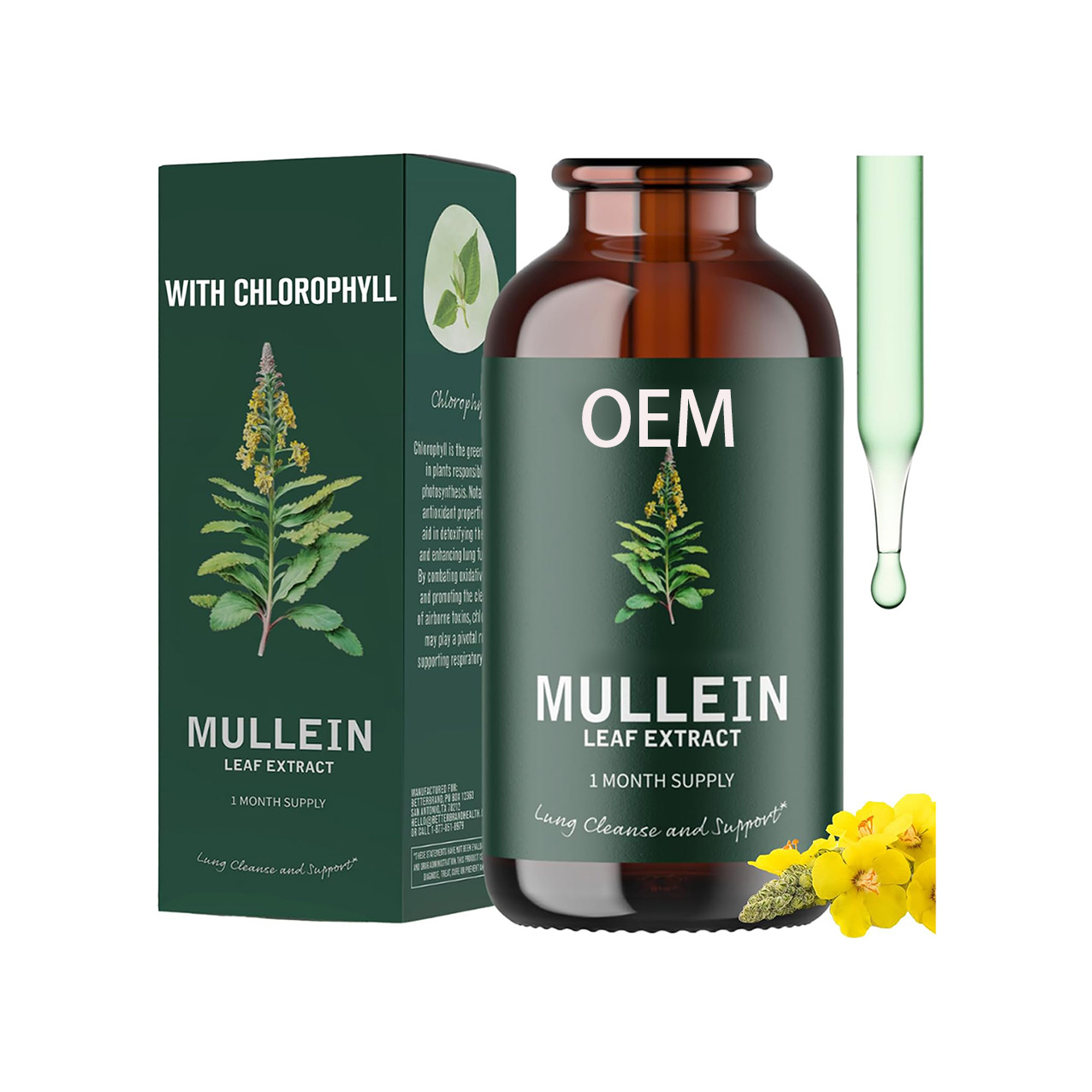 Mullein Leaf Extract Tincture 