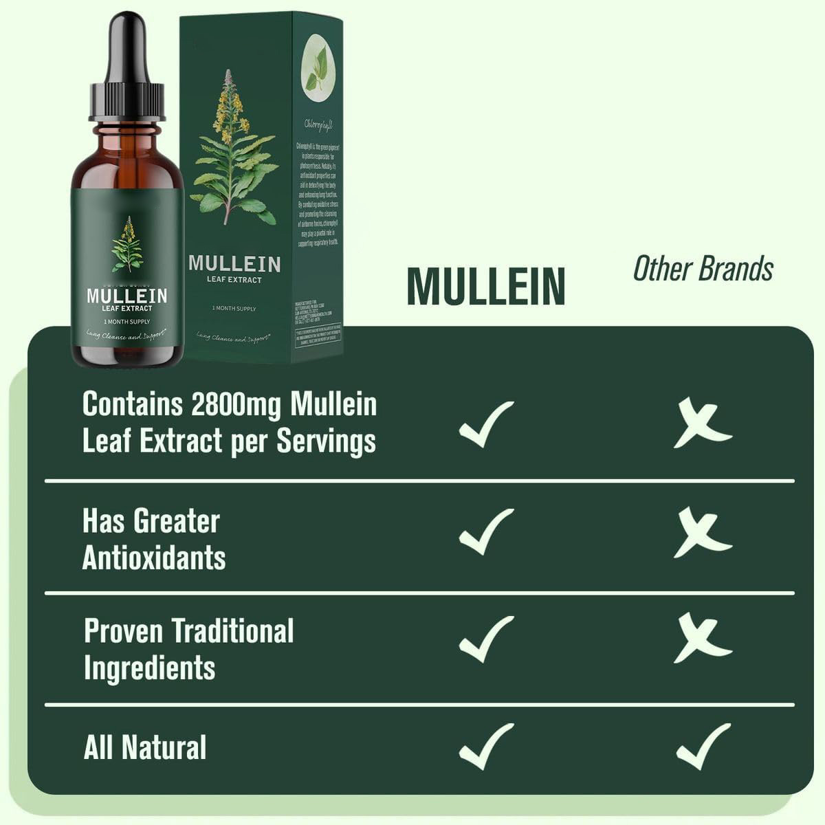 Mullein Leaf Extract Tincture 