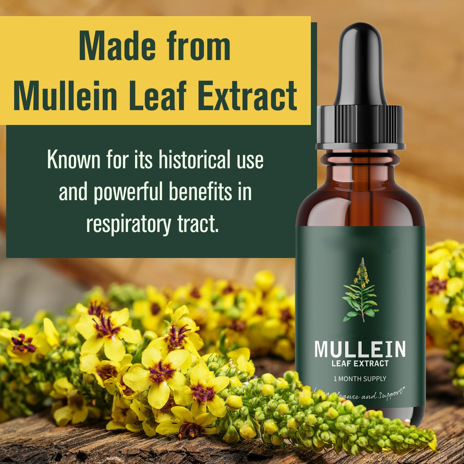 Mullein Leaf Extract Tincture 