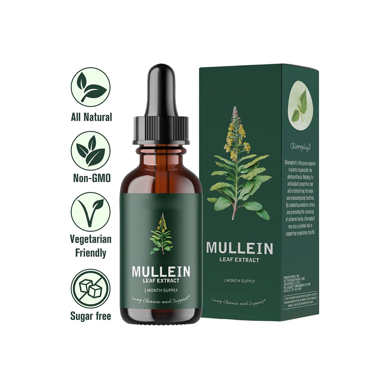 Mullein Leaf Extract Tincture 