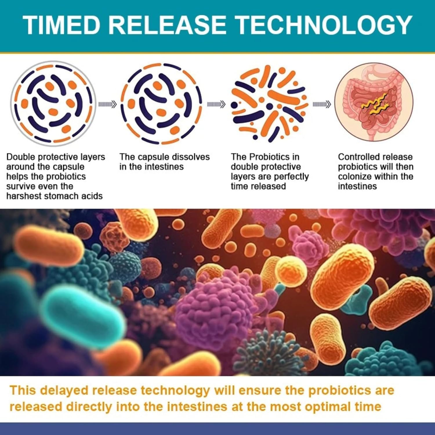 Probiotics Softgels