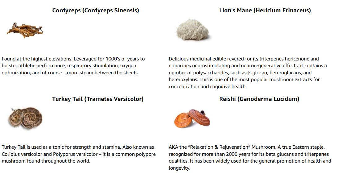Mushroom Extract Powder